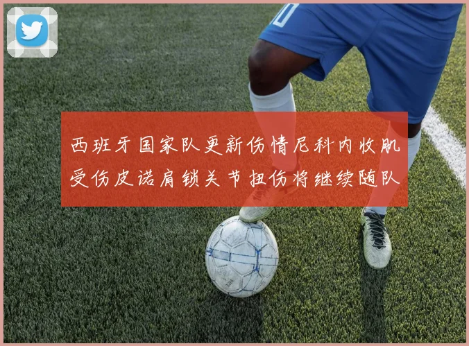 西班牙国家队更新伤情尼科内收肌受伤皮诺肩锁关节扭伤将继续随队训练